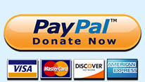 paypal2_blue